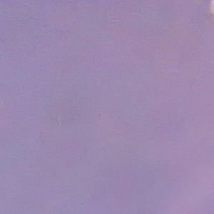 Meet your Posher, Janice